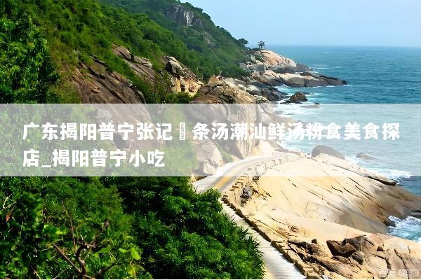 广东揭阳普宁张记粿条汤潮汕鲜汤粉食美食探店_揭阳普宁小吃