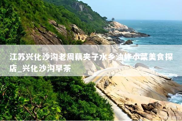 江苏兴化沙沟老周藕夹子水乡油炸小菜美食探店_兴化沙沟早茶
