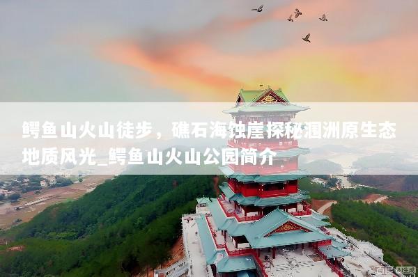 鳄鱼山火山徒步，礁石海蚀崖探秘涠洲原生态地质风光_鳄鱼山火山公园简介