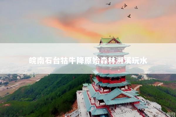 皖南石台牯牛降原始森林溯溪玩水