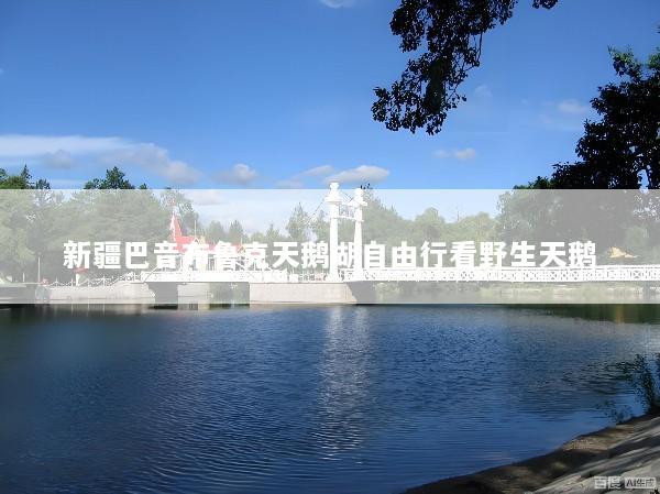 新疆巴音布鲁克天鹅湖自由行看野生天鹅