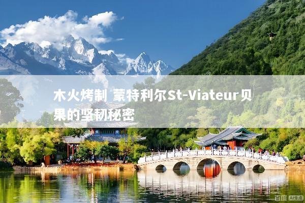 木火烤制 蒙特利尔St-Viateur贝果的坚韧秘密