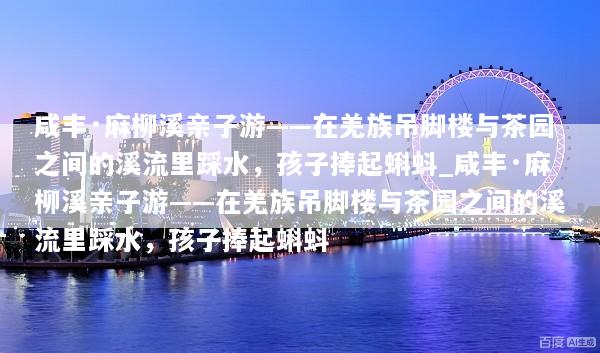 咸丰·麻柳溪亲子游——在羌族吊脚楼与茶园之间的溪流里踩水，孩子捧起蝌蚪_咸丰·麻柳溪亲子游——在羌族吊脚楼与茶园之间的溪流里踩水，孩子捧起蝌蚪