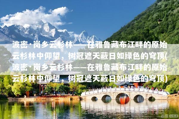 波密·岗乡云杉林——在雅鲁藏布江畔的原始云杉林中仰望，树冠遮天蔽日如绿色的穹顶(波密·岗乡云杉林——在雅鲁藏布江畔的原始云杉林中仰望，树冠遮天蔽日如绿色的穹顶)