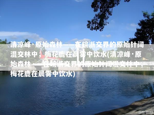 清凉峰·原始森林——在皖浙交界的原始针阔混交林中，梅花鹿在晨雾中饮水(清凉峰·原始森林——在皖浙交界的原始针阔混交林中，梅花鹿在晨雾中饮水)