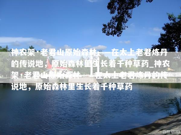 神农架·老君山原始森林——在太上老君炼丹的传说地，原始森林里生长着千种草药_神农架·老君山原始森林——在太上老君炼丹的传说地，原始森林里生长着千种草药