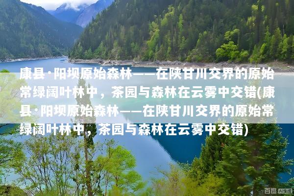 康县·阳坝原始森林——在陕甘川交界的原始常绿阔叶林中，茶园与森林在云雾中交错(康县·阳坝原始森林——在陕甘川交界的原始常绿阔叶林中，茶园与森林在云雾中交错)