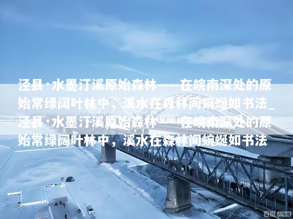 泾县·水墨汀溪原始森林——在皖南深处的原始常绿阔叶林中，溪水在森林间蜿蜒如书法_泾县·水墨汀溪原始森林——在皖南深处的原始常绿阔叶林中，溪水在森林间蜿蜒如书法