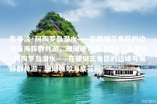 东帝汶·阿陶罗岛潜水——在珊瑚三角区的边缘与海豚群共游，珊瑚礁如海底花园_东帝汶·阿陶罗岛潜水——在珊瑚三角区的边缘与海豚群共游，珊瑚礁如海底花园