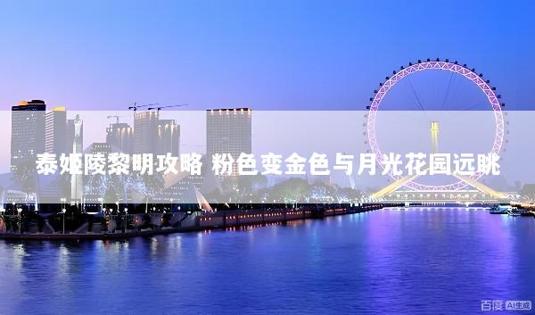 泰姬陵黎明攻略 粉色变金色与月光花园远眺