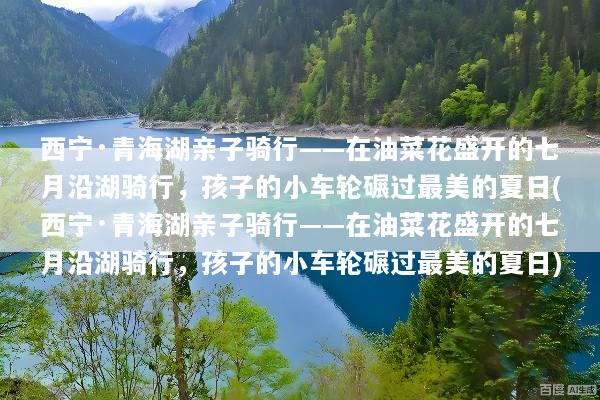 西宁·青海湖亲子骑行——在油菜花盛开的七月沿湖骑行，孩子的小车轮碾过最美的夏日(西宁·青海湖亲子骑行——在油菜花盛开的七月沿湖骑行，孩子的小车轮碾过最美的夏日)