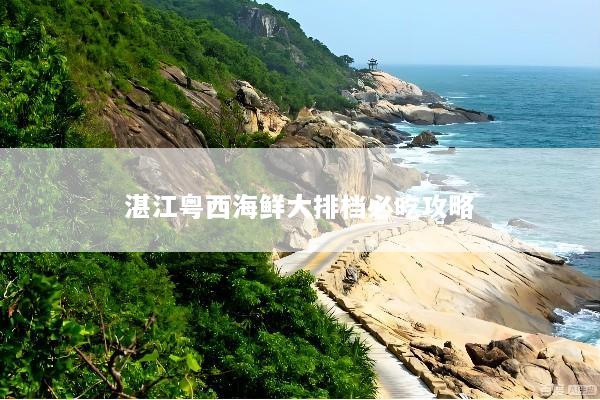 湛江粤西海鲜大排档必吃攻略