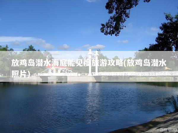 放鸡岛潜水海底能见度旅游攻略(放鸡岛潜水照片)